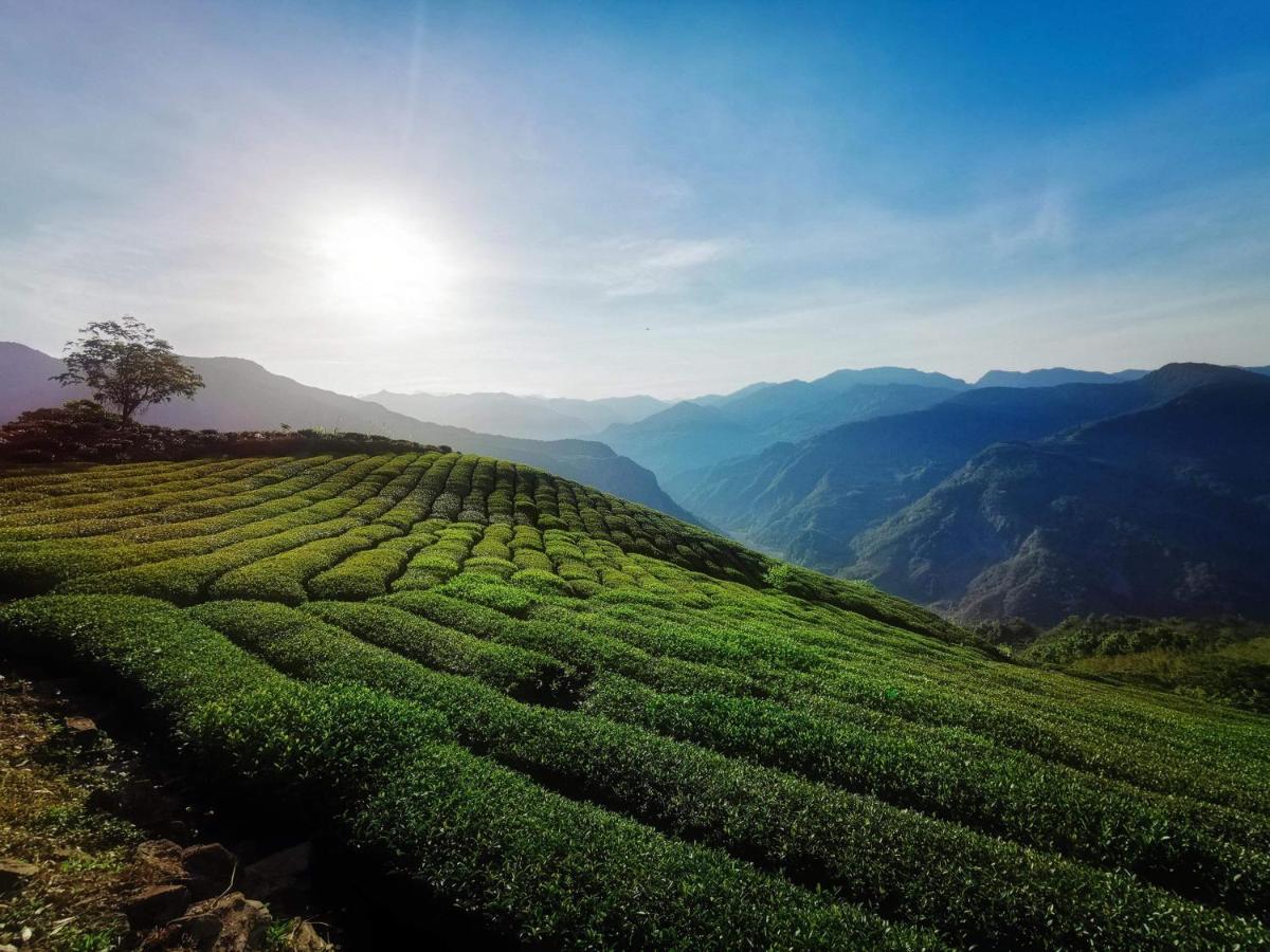 Alishan Tea Homestay Leye Extérieur photo